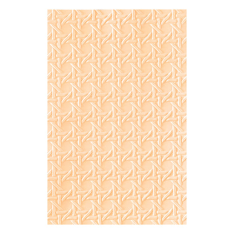 Spellbinders Rattan Cane 3D Embossing Folder by Simon Hurley E3D-178