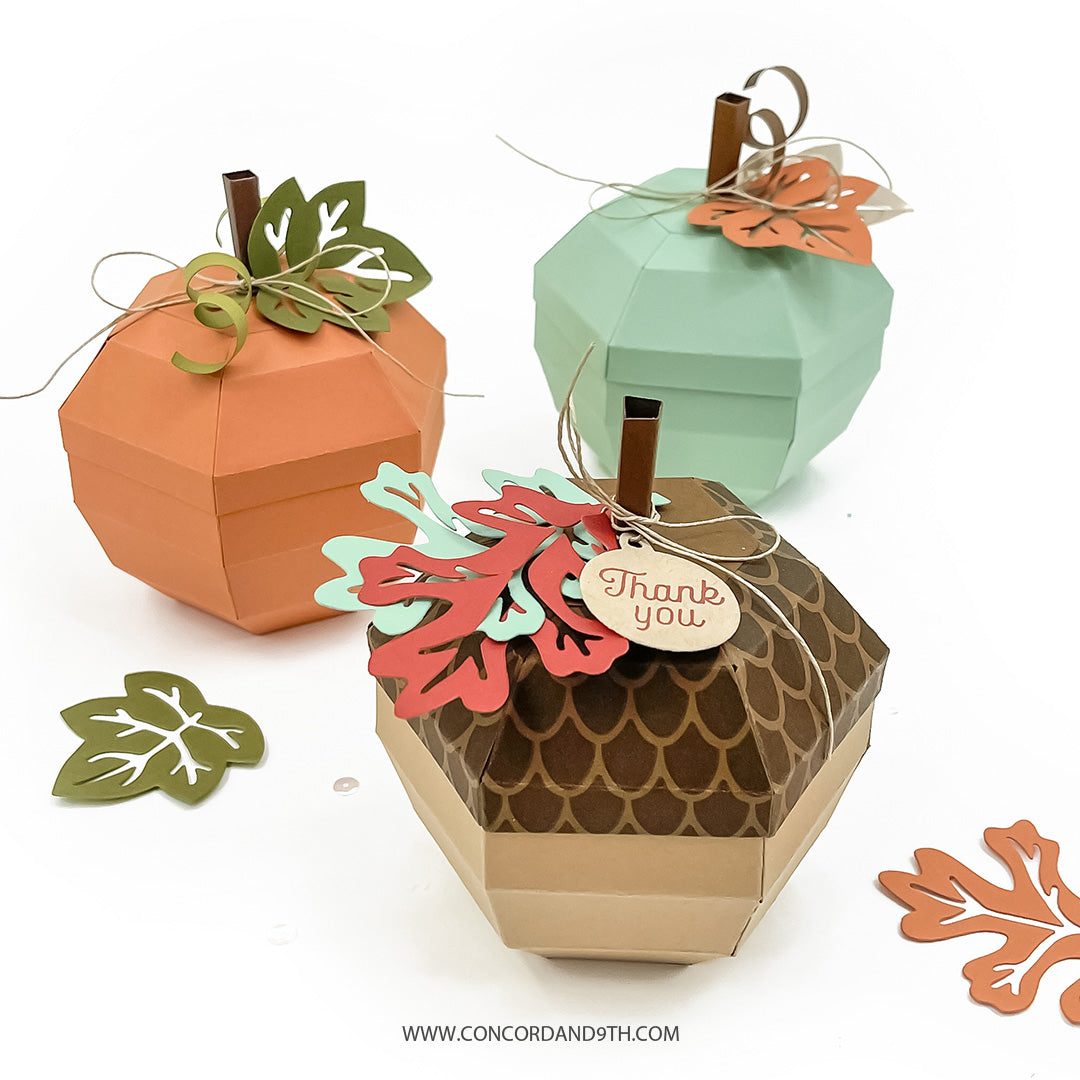 Concord & 9th Fall Favors Box Dies