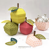 Concord & 9th Fall Favors Box Dies