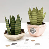 Concord & 9th Fall Favors Box Dies