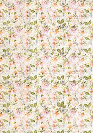 Ciao Bella Flower Shop A4 Vellum Paper Patterns (6pcs) (CBV016)