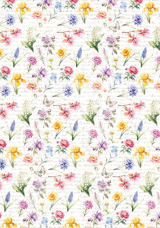 Ciao Bella Flower Shop A4 Vellum Paper Patterns (6pcs) (CBV016)