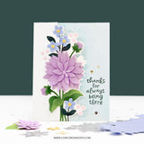 Concord & 9th Handpicked Stamp Set (3 x 4) &  DIe Bundle