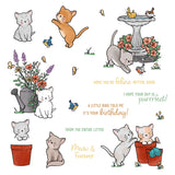 Honey Bee Stamps Meow & Furever - 6"x8" Clear Stamp Set