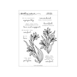 Concord & 9th KW Long Line Lilies Stamp Set & Dies (6 x 8)