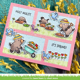 Lawn Fawn  All the Garden Hats Stamp & Die Bundle LF4034/LF4035