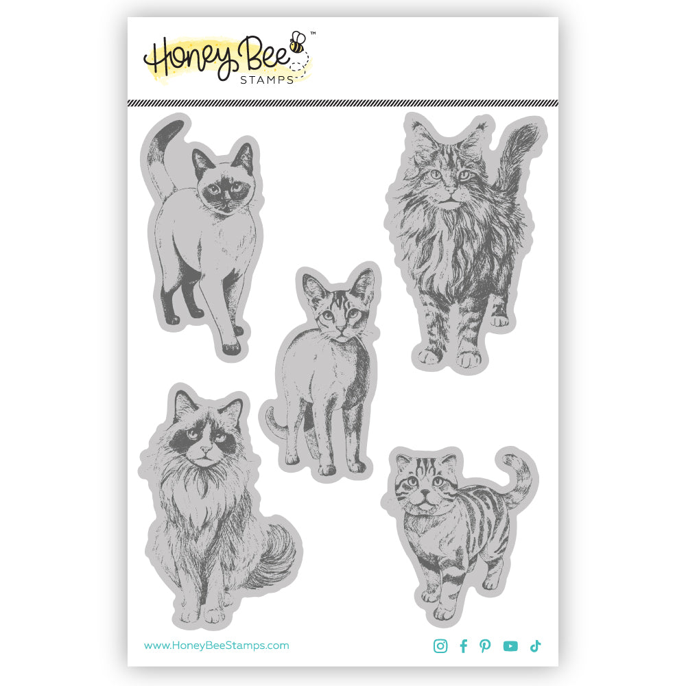 Honey Bee Stamps Paws & Purrs - 4"x5" Rubber Cling Stamp