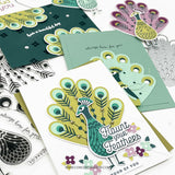 Concord & 9th Pretty Peacock Stamp Set (6 x 8) & Die Bundle