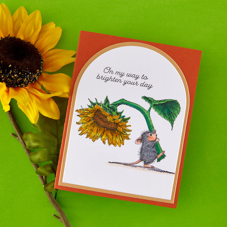 Spellbinders House-Mouse Sunflower Walk Collector Bundle