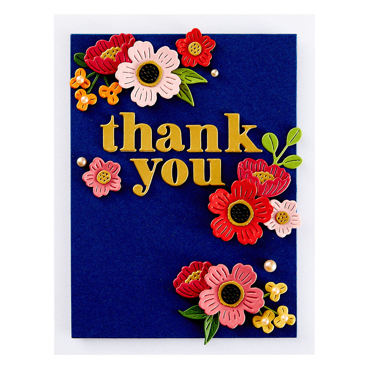 Spellbinders Thank You Etched Dies from the Out and About Collection