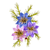 Spellbinders Love-in-a-Mist Etched Dies