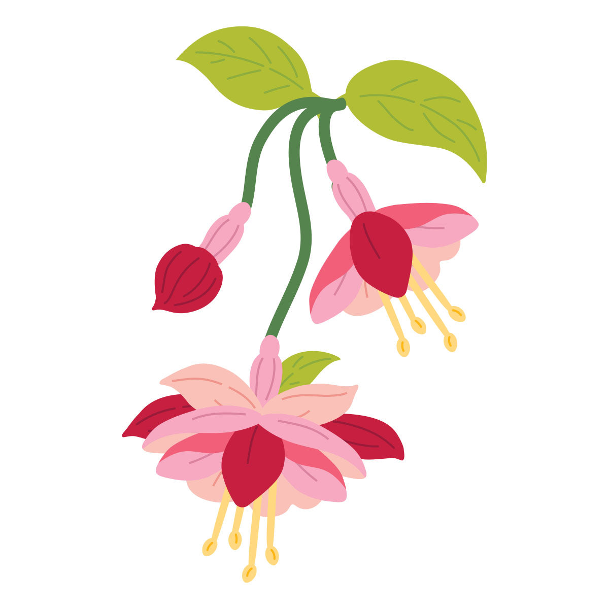 Spellbinders Magical Fuchsia I Want It All! Bundle by Alex Syberia Designs