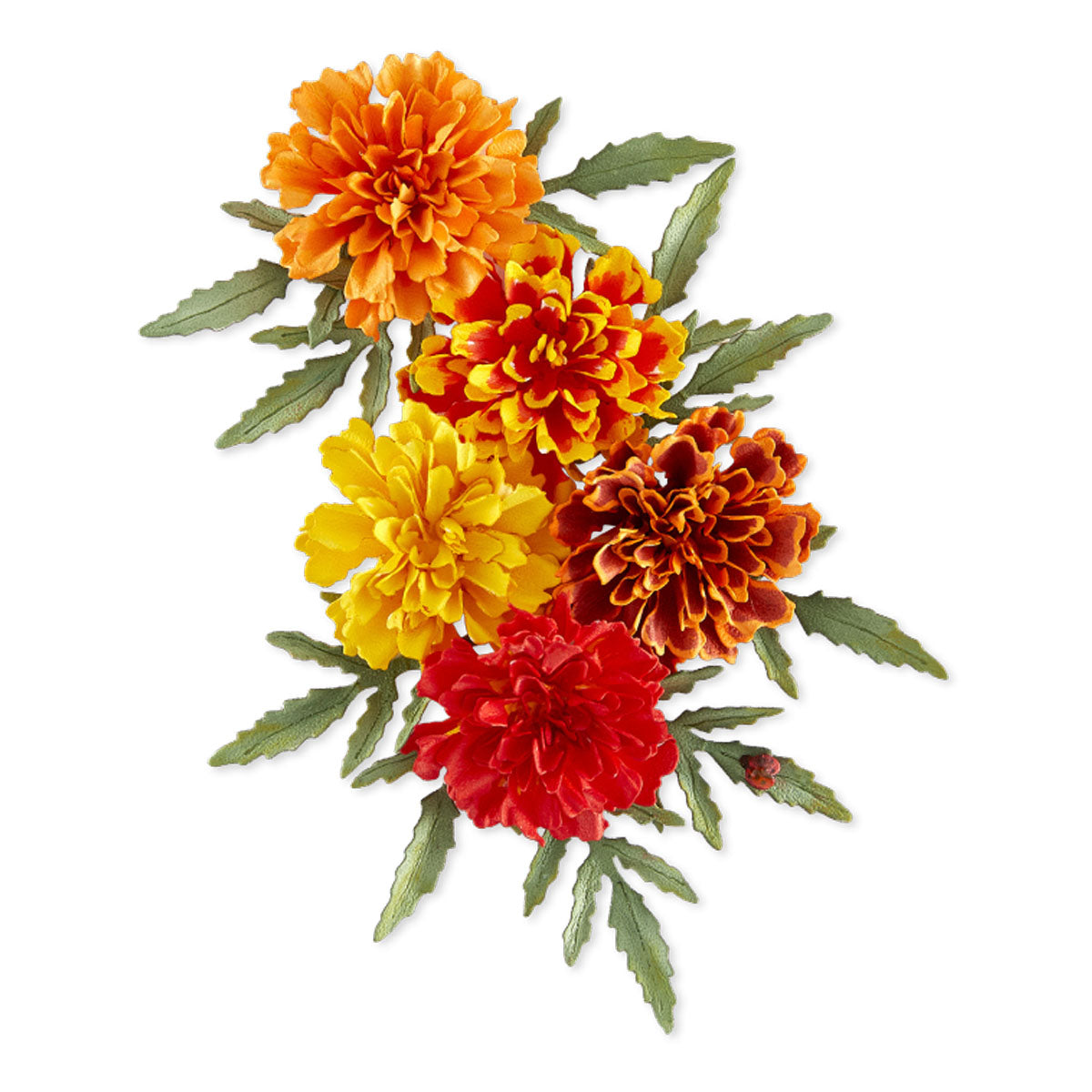 Spellbinders Marigold Etched Dies by Susan Tierney-Cockburn s3-590