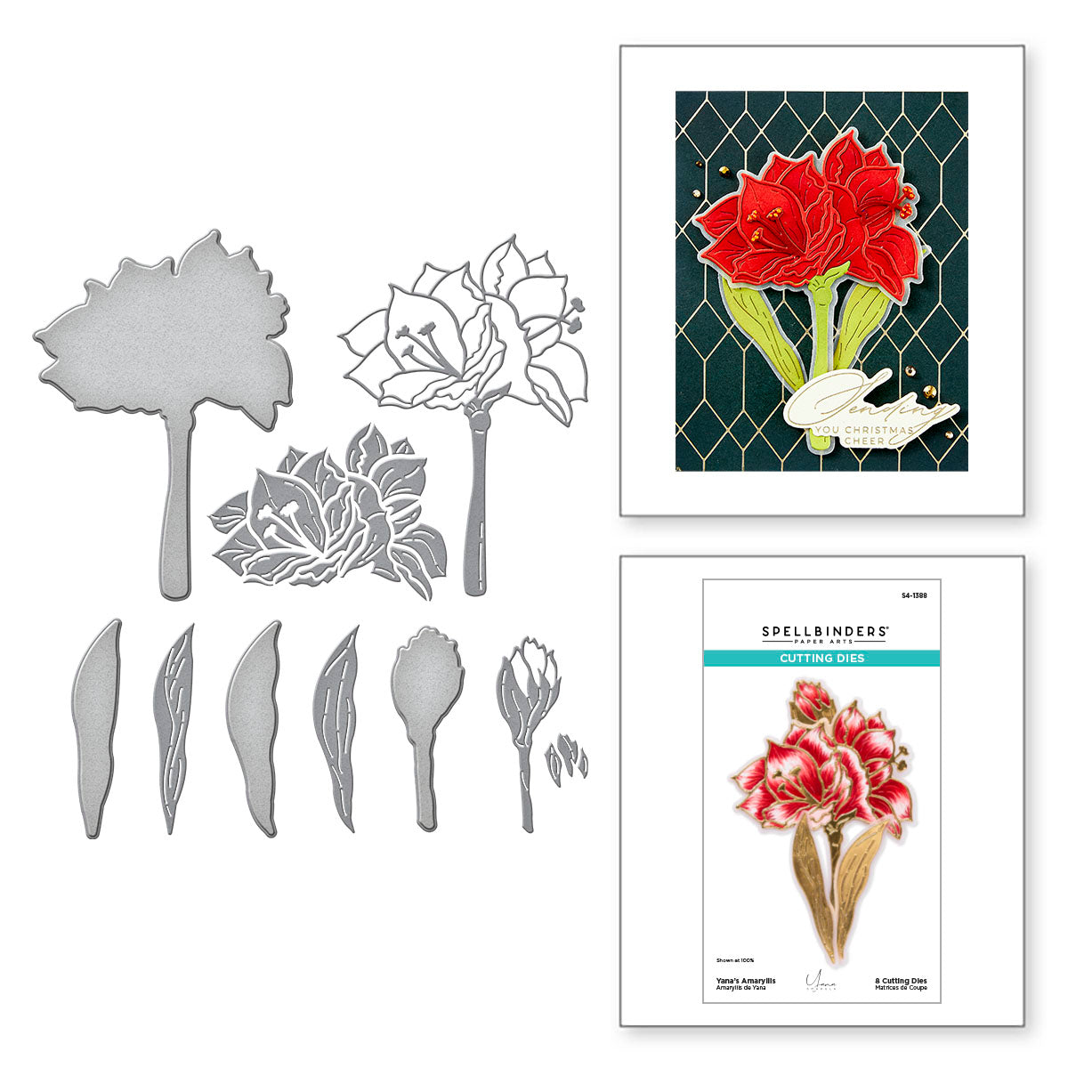 Spellbinders Yana's Amaryllis Etched Dies from the Amaryllis Christmas Collection by Yana Smakula