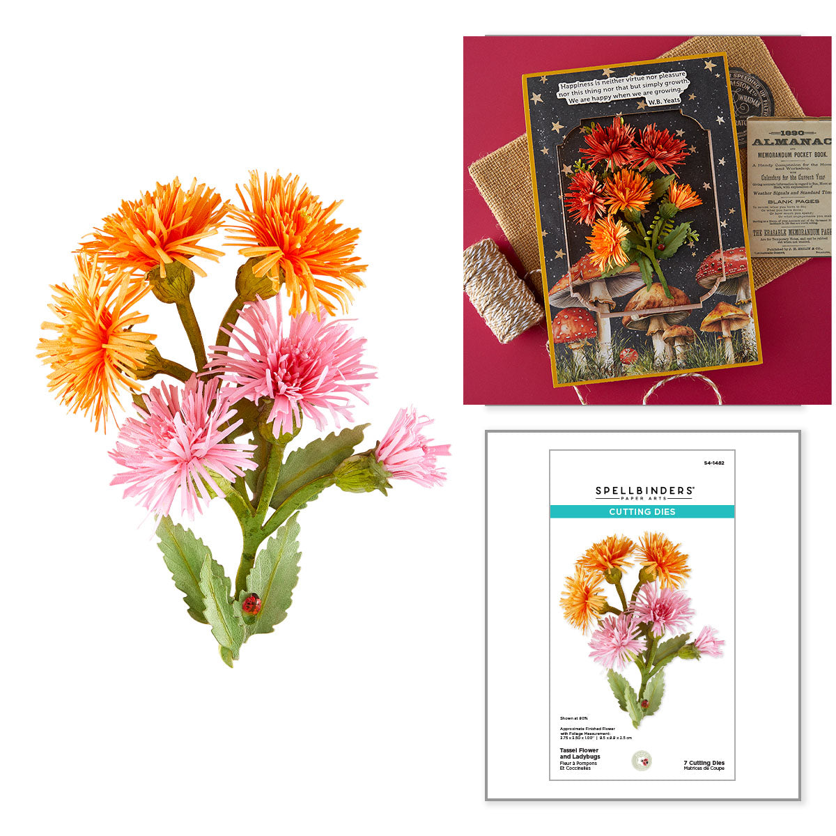 Spellbinders Tassel Flower and Ladybugs Etched Dies by Susan Tierney-Cockburn