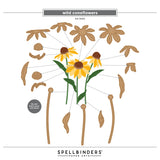 Spellbinders Wild Coneflowers Etched Dies by Simon Hurley