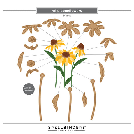 Spellbinders Wild Coneflowers Etched Dies by Simon Hurley