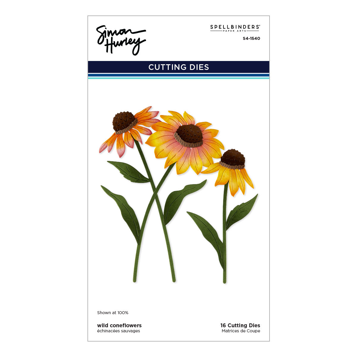 Spellbinders Wild Coneflowers Etched Dies by Simon Hurley