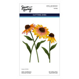 Spellbinders Wild Coneflowers Etched Dies by Simon Hurley