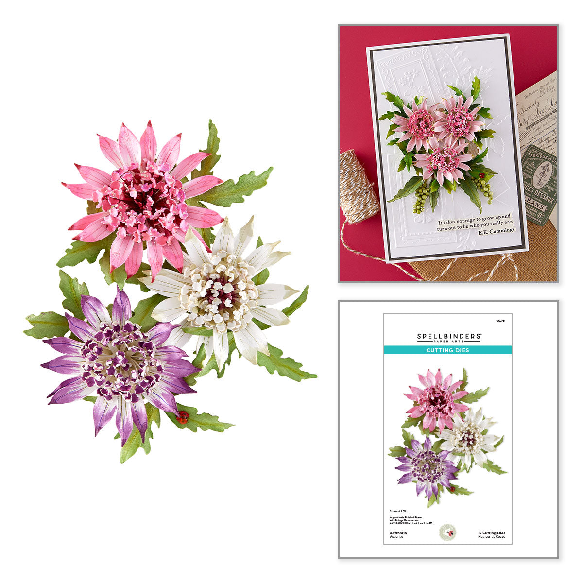 Spellbinders Serenity Garden Die Bundle by Susan Tierney-Cockburn