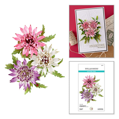 Spellbinders Serenity Garden Die Bundle by Susan Tierney-Cockburn