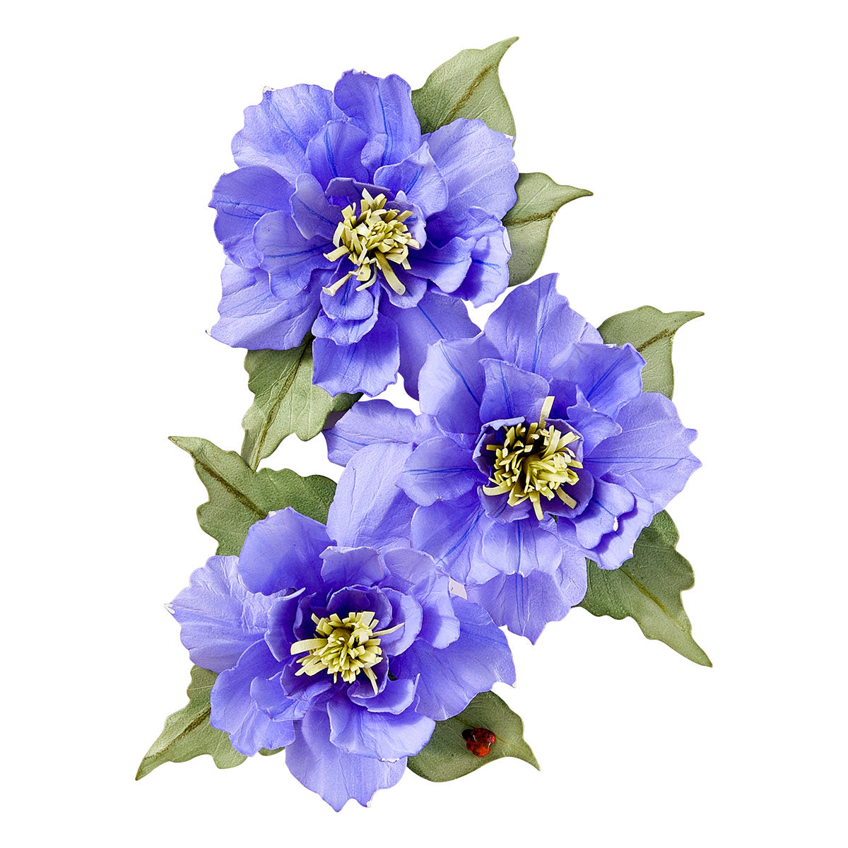 Spellbinders Clematis Poet Etched Dies