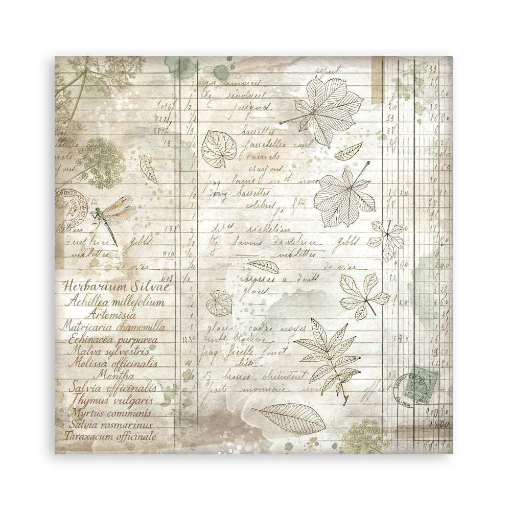 Stamperia Herbarium Silvae 12×12 Paper Pack (SBBL179)