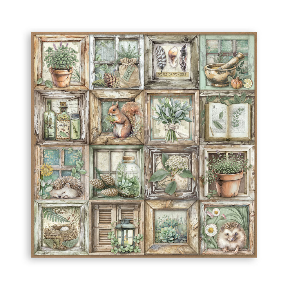 Stamperia Herbarium Silvae 12×12 Paper Pack (SBBL179)