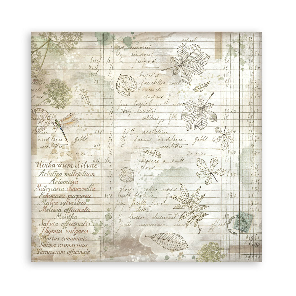 Stamperia Herbarium Silvae 12×12 Maxi Backgrounds (SBBL180)