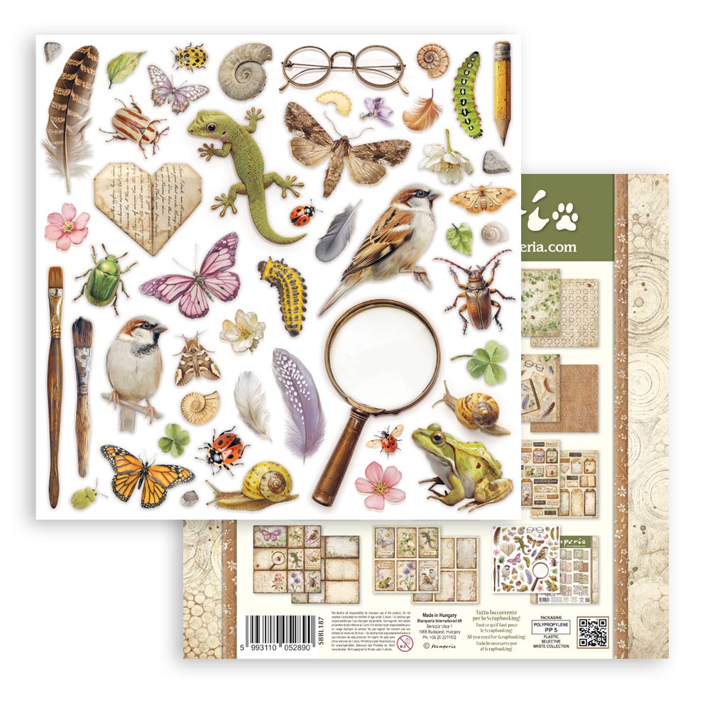 Stamperia All Around 12x12 Inch Paper Pack (SBBL187)