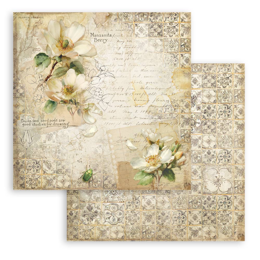 Stamperia All Around 12x12 Inch Paper Pack (SBBL187)