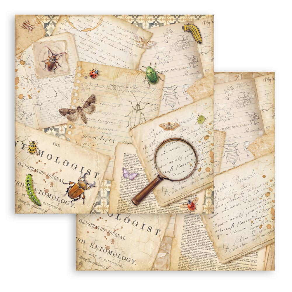 Stamperia All Around 12x12 Inch Paper Pack (SBBL187)