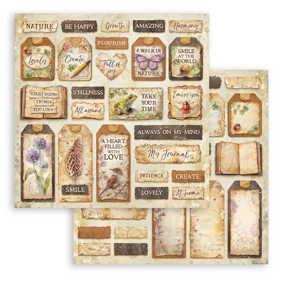 Stamperia All Around 12x12 Inch Paper Pack (SBBL187)