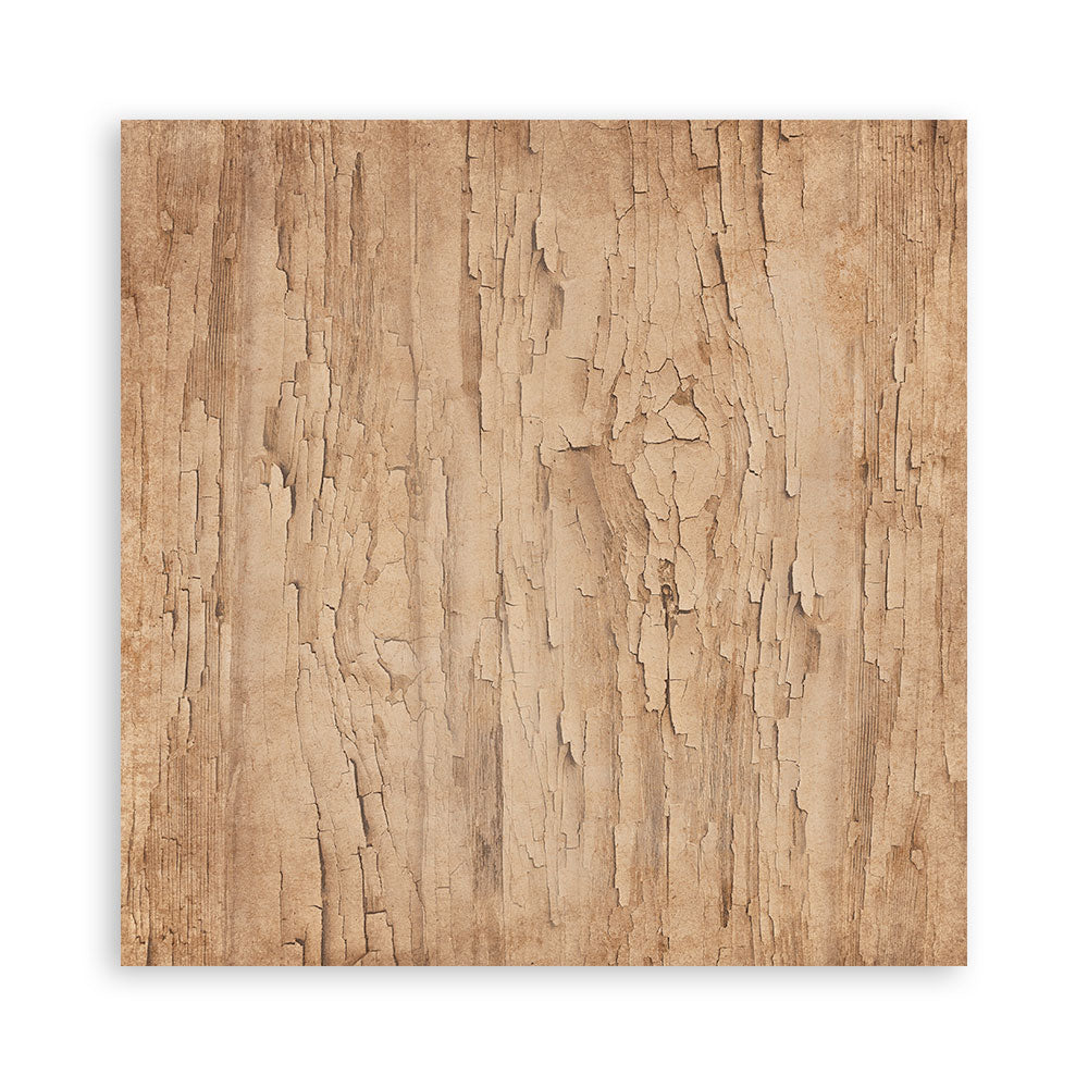 Stamperia Family 8×8 Inch Paper Pack (SBBS137)