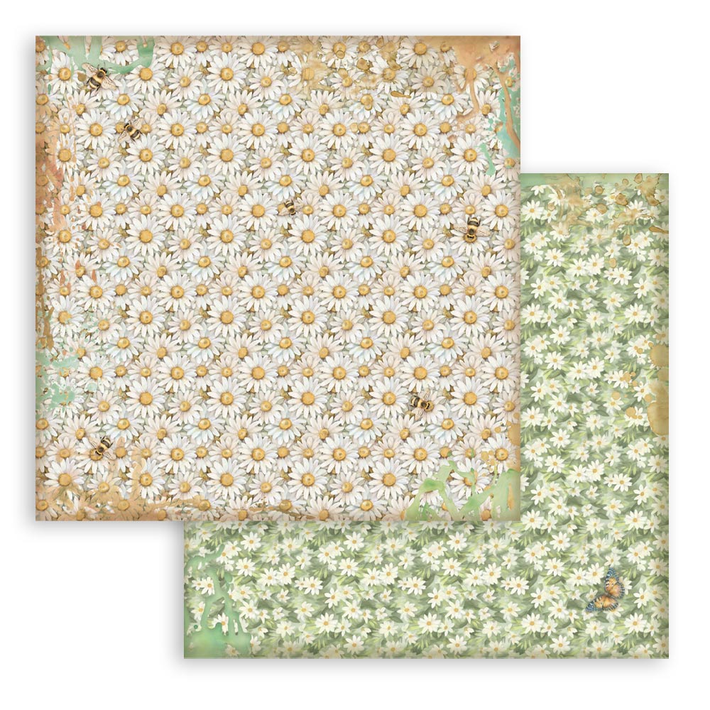 Stamperia Daisy Art 8x8 Inch Paper Pack Maxi Background Selection (SBBS139)