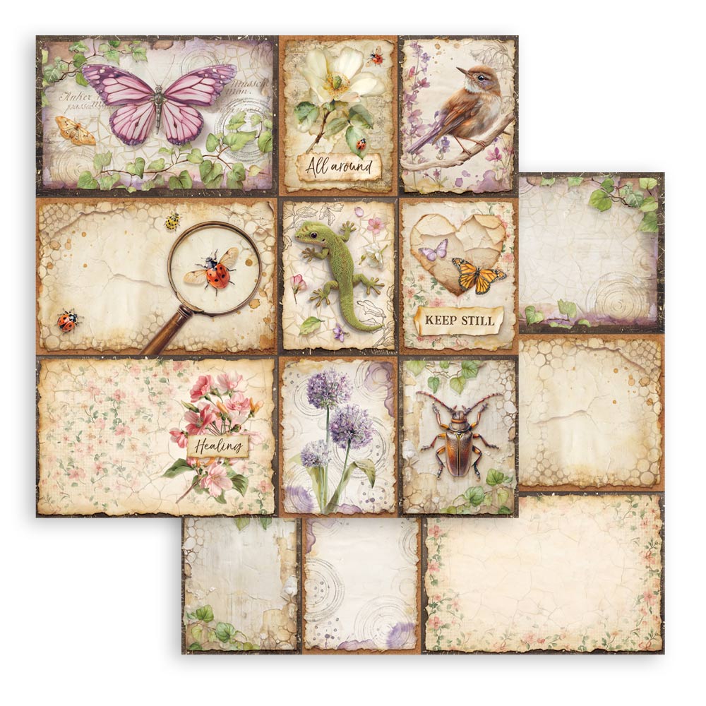 Stamperia All Around 8x8 Inch Paper Pack (SBBS143)