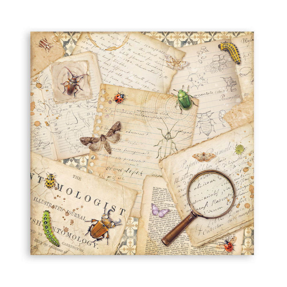 Stamperia All Around 8x8 Inch Paper Pack (SBBS143)