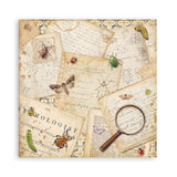 Stamperia All Around 8x8 Inch Paper Pack (SBBS143)
