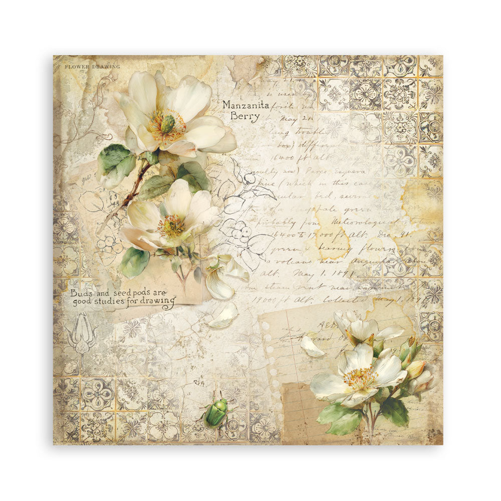 Stamperia All Around 8x8 Inch Paper Pack (Single Face) (SBBSXB25)