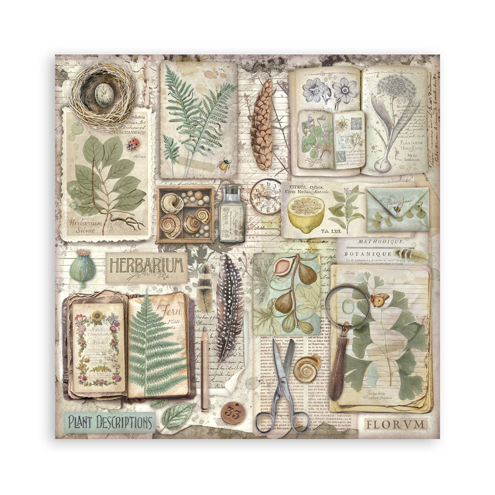 Stamperia Herbarium Silvae 12×12 Maxi Paper Pack Single Face (SBBXLB32)
