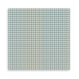 Stamperia Family 12×12 Inch Maxi Paper Pack – Single Face (SBBXLB33)