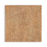 Stamperia All Around 12x12 Inch Paper Pack (Single Face) (SBBXLB37)