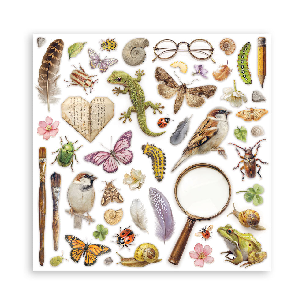 Stamperia All Around 12x12 Inch Paper Pack (Single Face) (SBBXLB37)