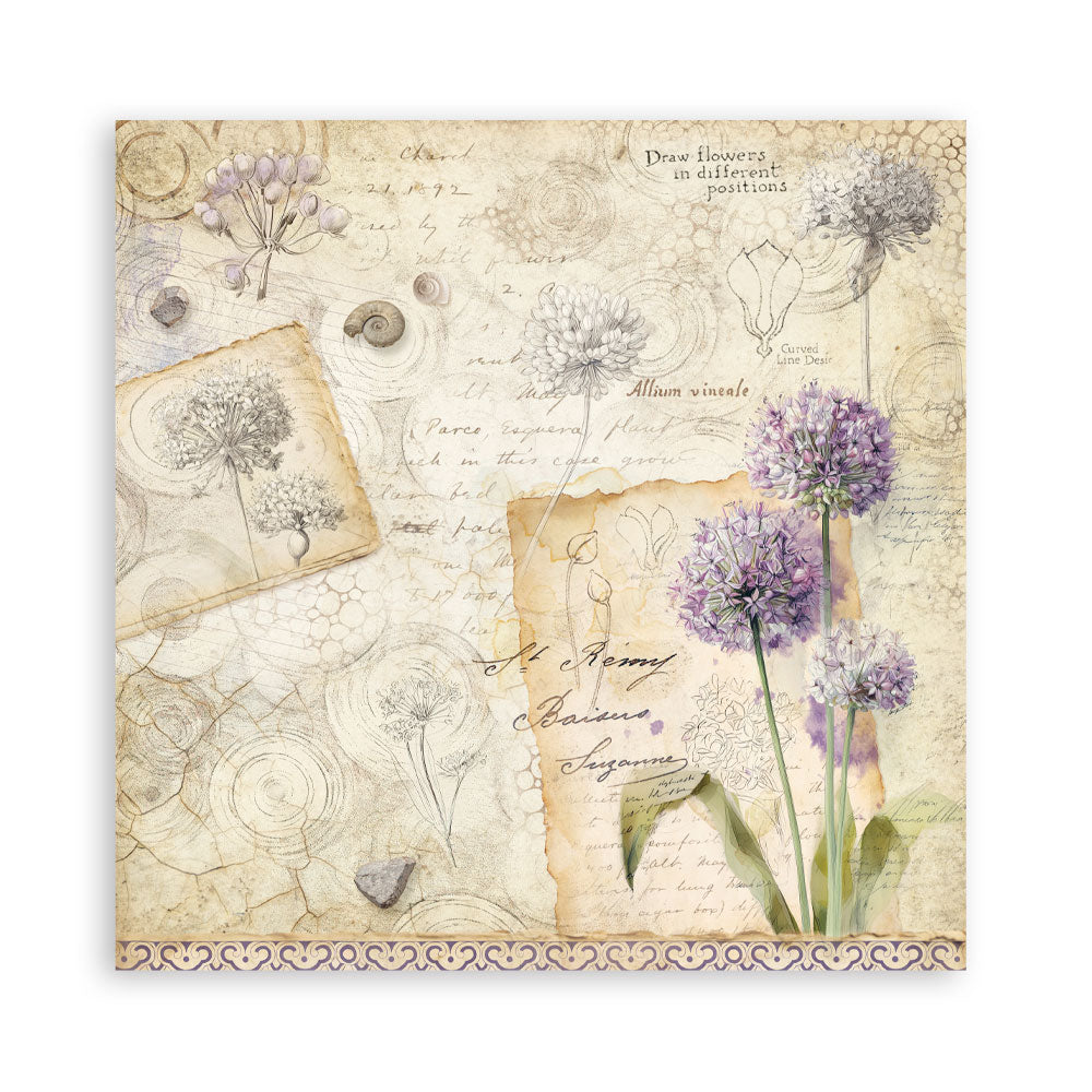 Stamperia All Around 12x12 Inch Paper Pack (Single Face) (SBBXLB37)
