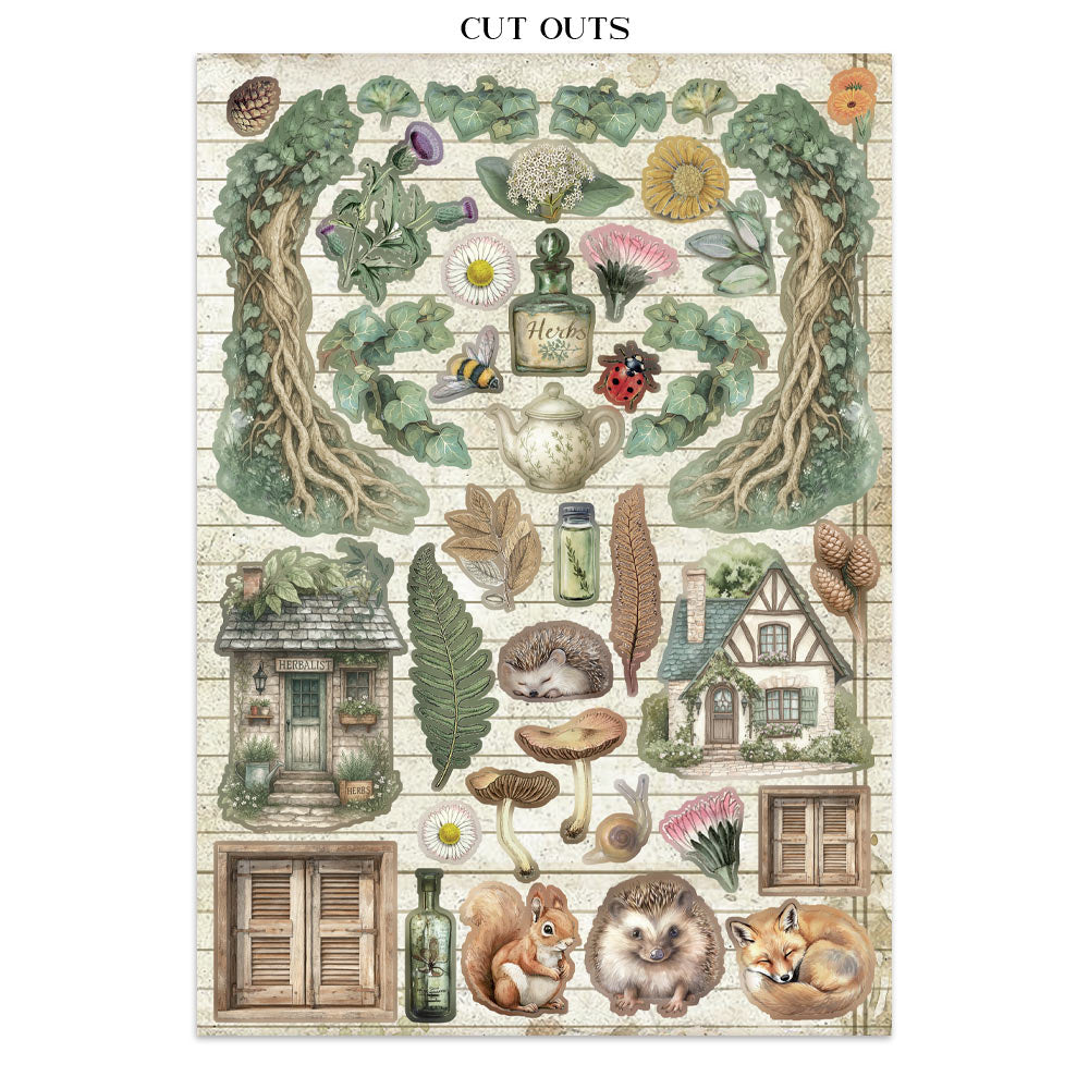 Stamperia Herbarium Silvae Junk Journal Stickers (SBJK09)