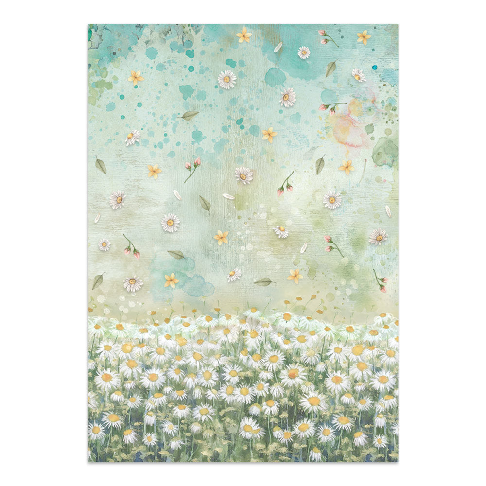 Stamperia Daisy Art Junk Journal Stickers, Backgrounds, Cut-Outs (SBJK14)