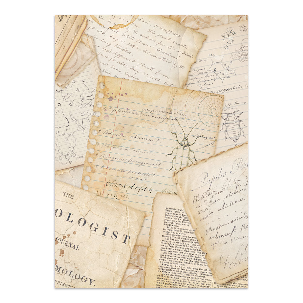 Stamperia All Around Junk Journal Stickers, Backgrounds, Cut-Outs (SBJK20)