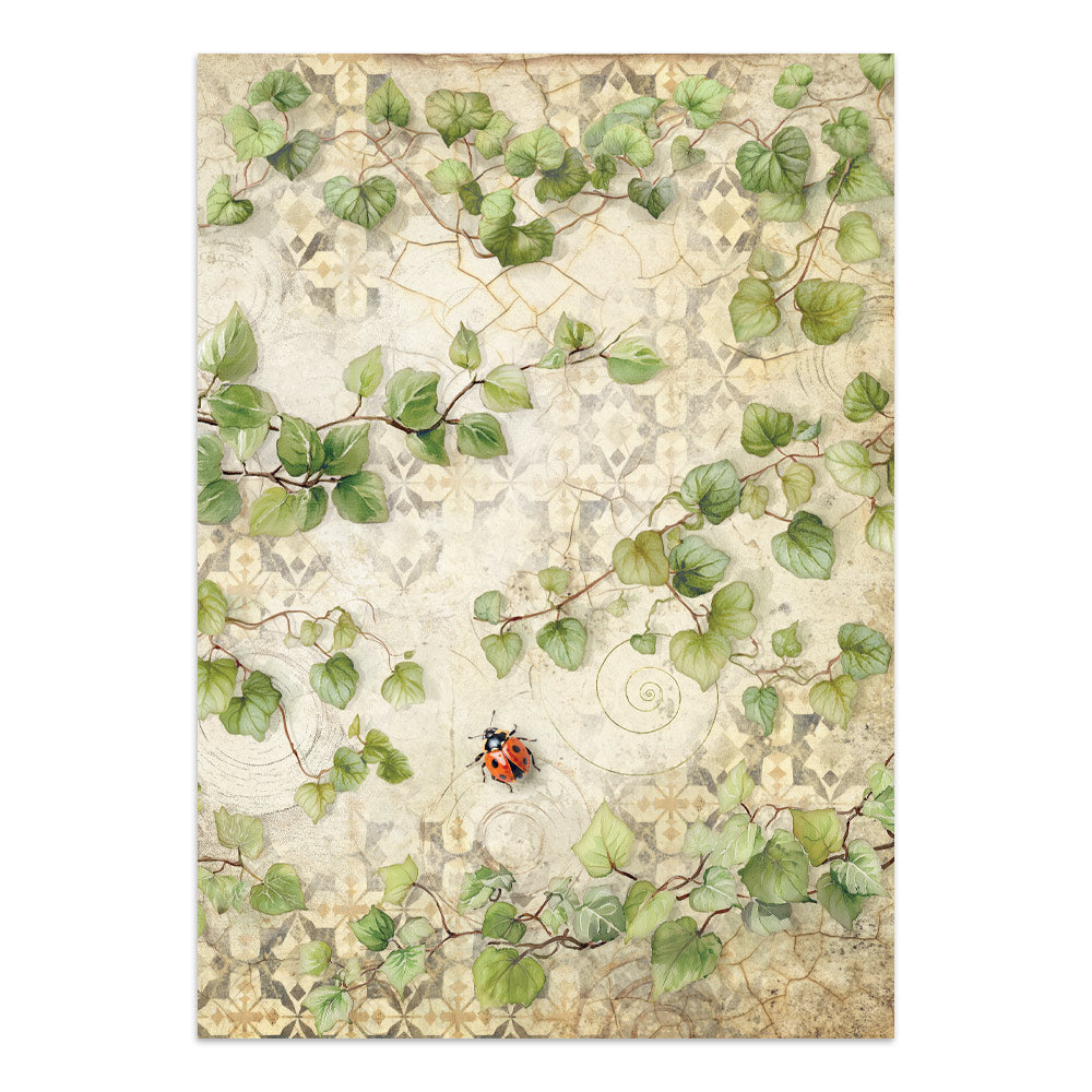 Stamperia All Around Junk Journal Stickers, Backgrounds, Cut-Outs (SBJK20)