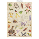 Stamperia All Around Junk Journal Stickers, Backgrounds, Cut-Outs (SBJK20)