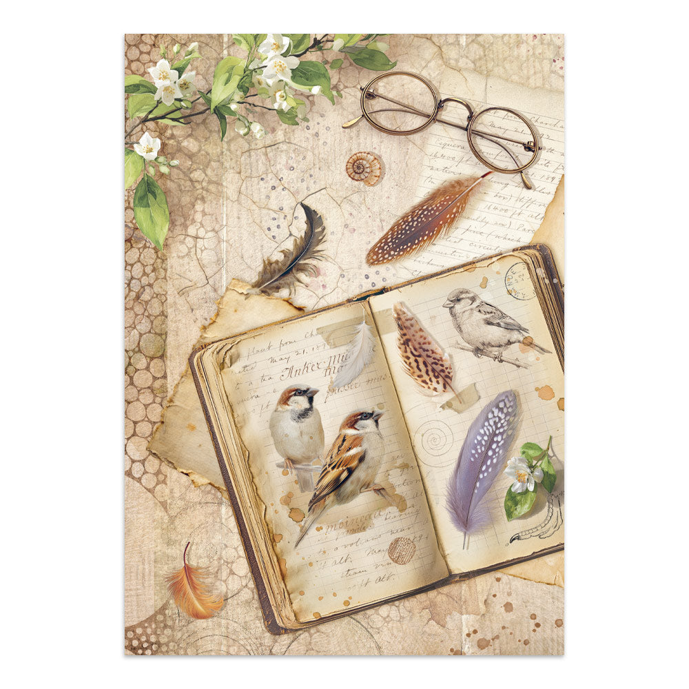 Stamperia All Around Junk Journal Stickers, Backgrounds, Cut-Outs (SBJK20)